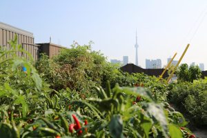 skygarden skygarden